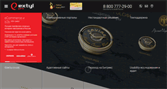 Desktop Screenshot of extyl-pro.ru